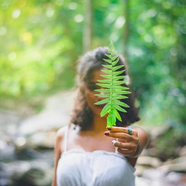 Environmental Stewardship & Clean Energy